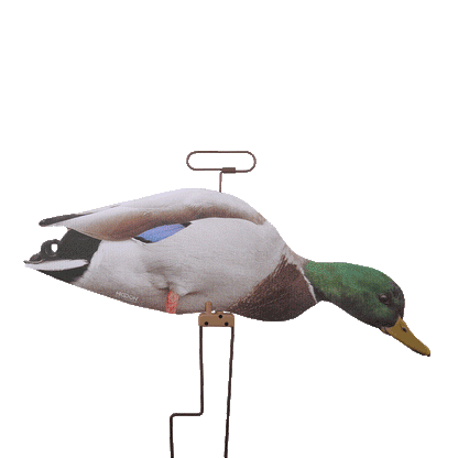 FLATS Mallard Motion Silhouettes (12pk)