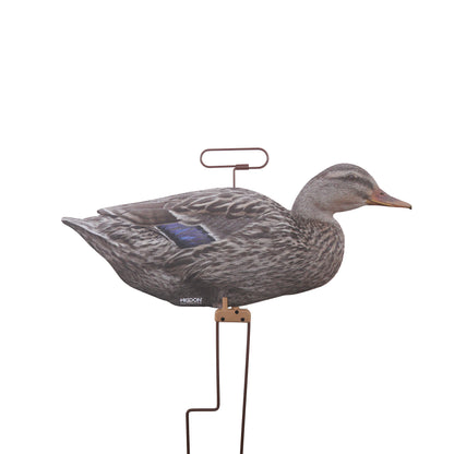 FLATS Mallard Motion Silhouettes (12pk)