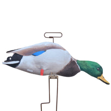 FLATS Mallard Motion Silhouette, Fully Flocked (12pk)