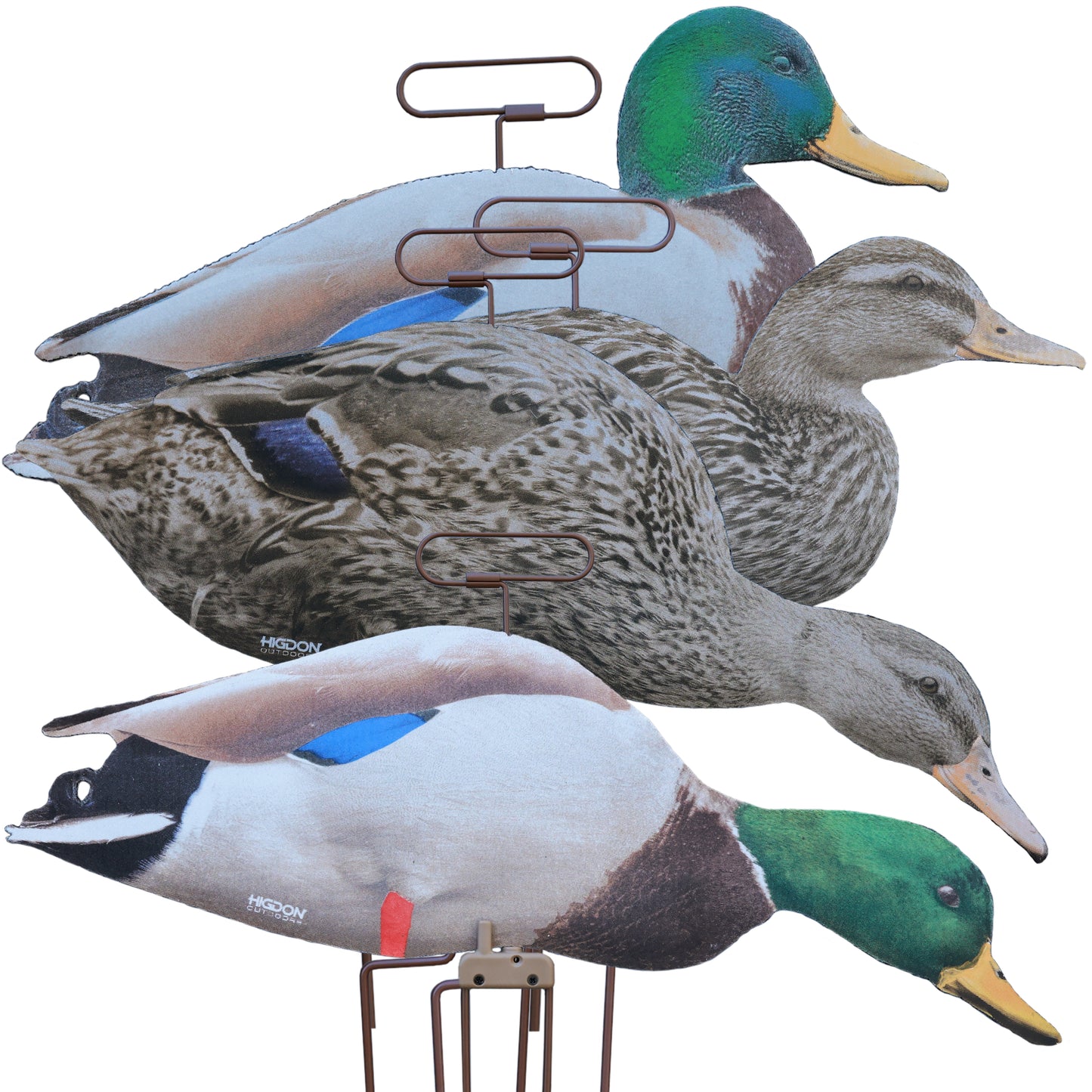 FLATS Mallard Motion Silhouette, Fully Flocked (12pk)