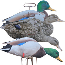 FLATS Mallard Motion Silhouette, Fully Flocked (12pk)