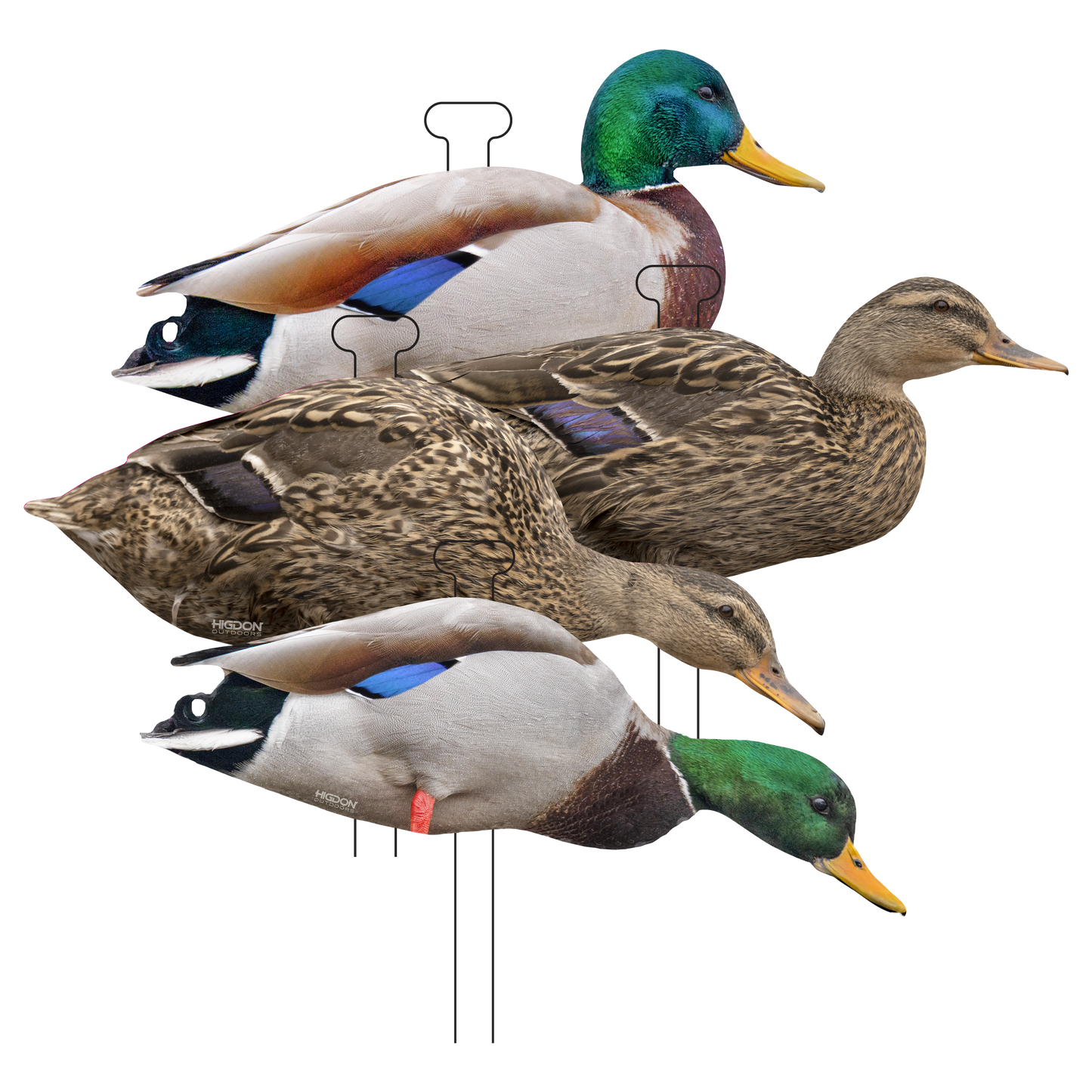 FLATS Mallard Silhouettes (12pk)