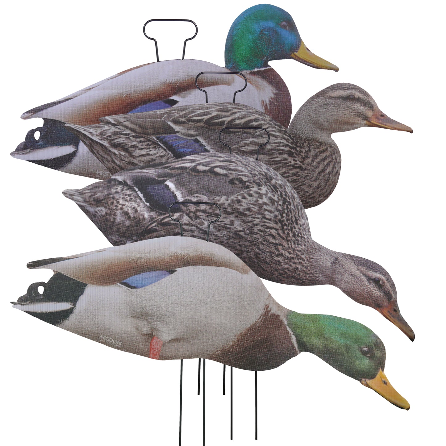 FLATS Mallard Silhouettes (12pk)