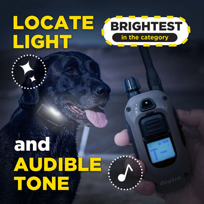 1900X Remote Dog Trainer 2-Dog Unit