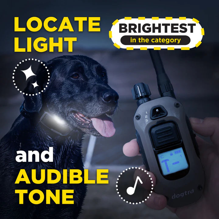 1900X Remote Dog Trainer 1-Dog Unit