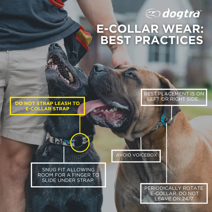 1900X Remote Dog Trainer 1-Dog Unit
