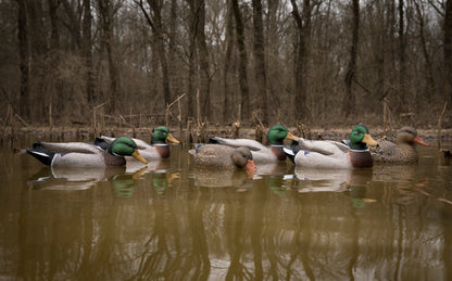 Battleship Mallard Foam Filled (6pk)