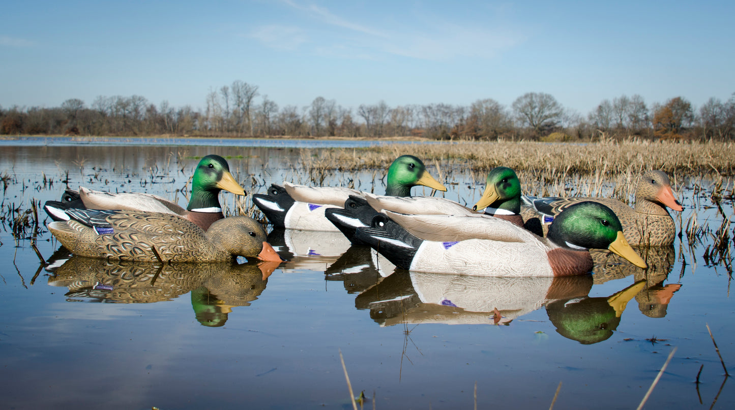 Battleship Mallard Foam Filled (6pk)