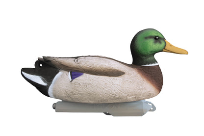 Battleship Mallard Foam Filled (6pk)