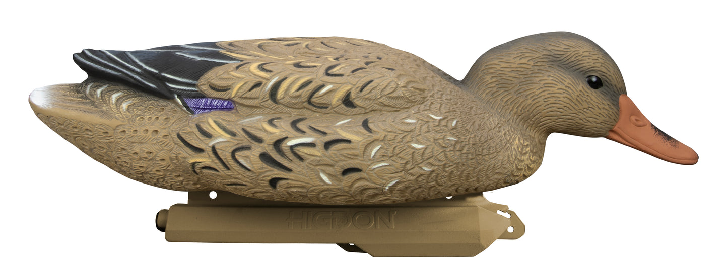 Battleship Mallard Foam Filled (6pk)