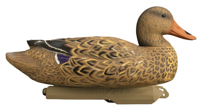 Battleship Mallard Foam Filled (6pk)