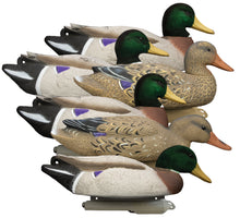 Battleship Mallard Foam Filled (6pk)