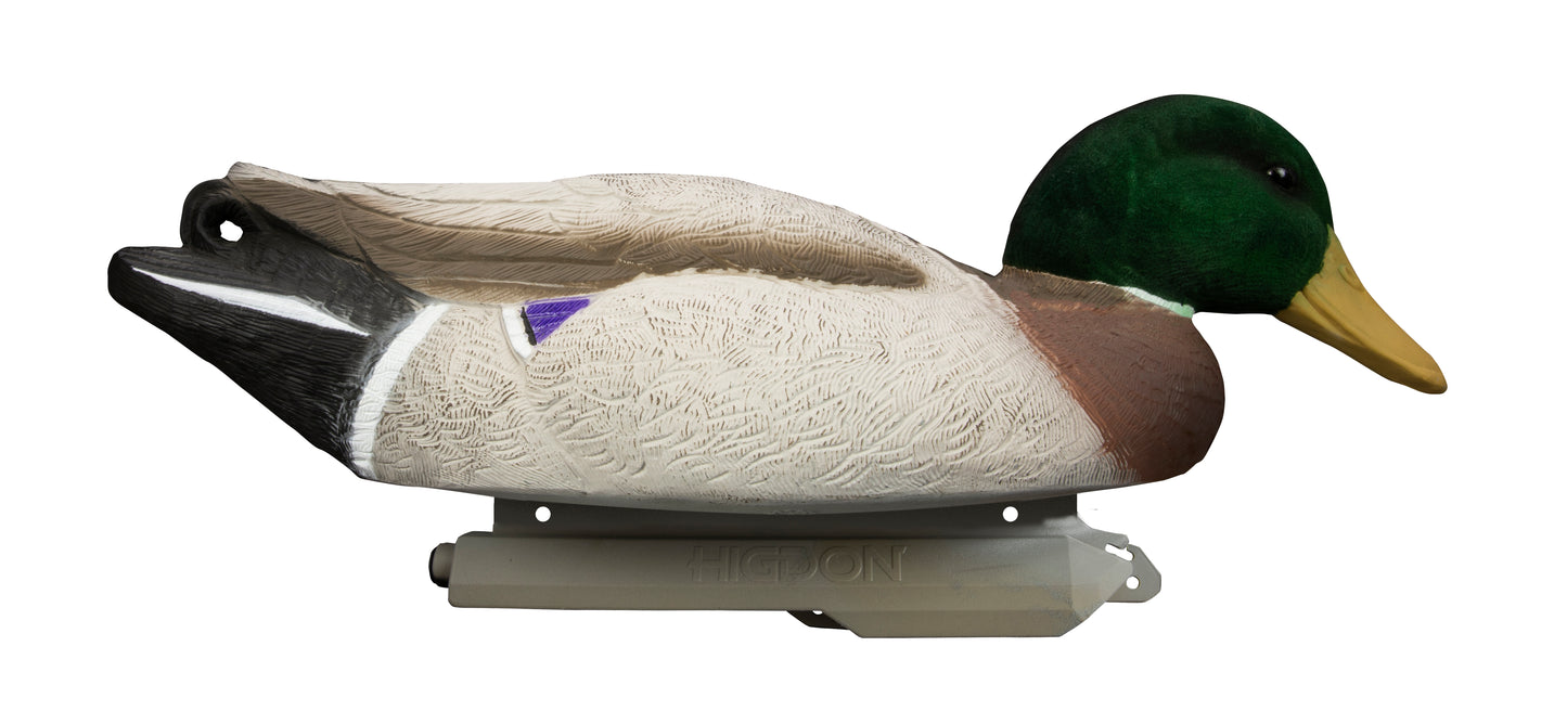 Battleship Mallard Foam Filled (6pk)