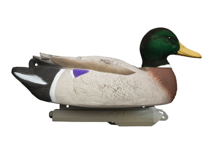 Battleship Mallard Foam Filled (6pk)