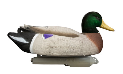 Battleship Mallard Foam Filled (6pk)