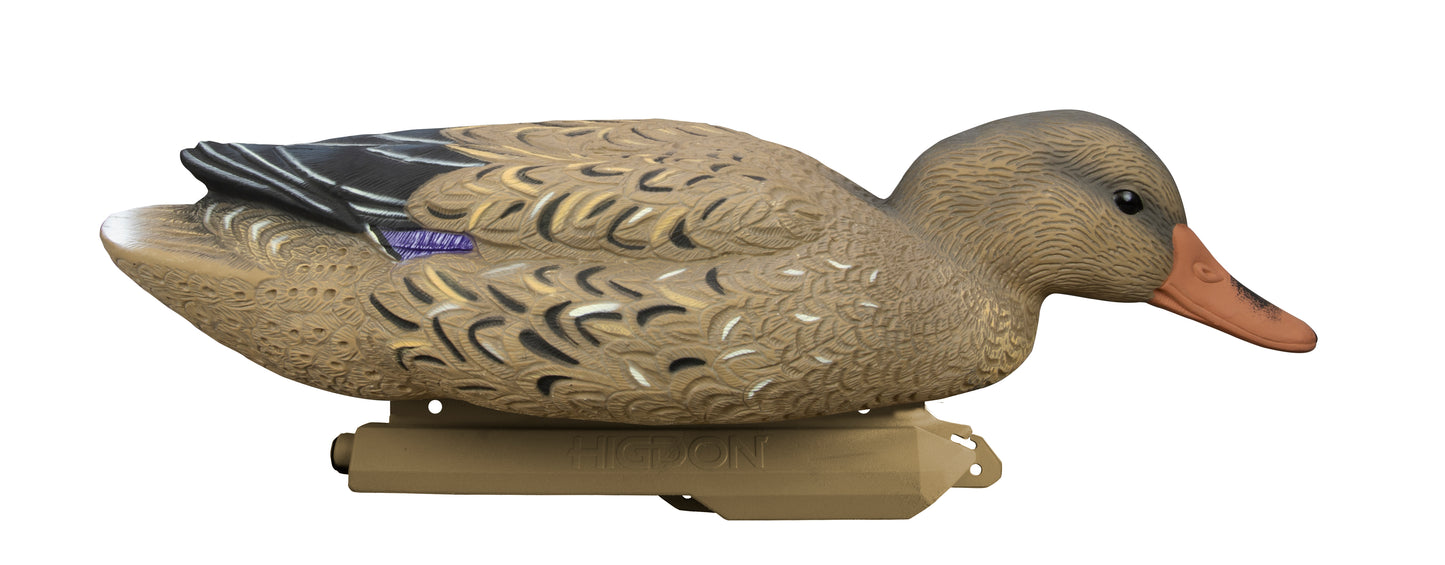 Battleship Mallard Foam Filled (6pk)