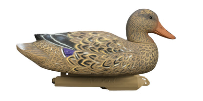 Battleship Mallard Foam Filled (6pk)