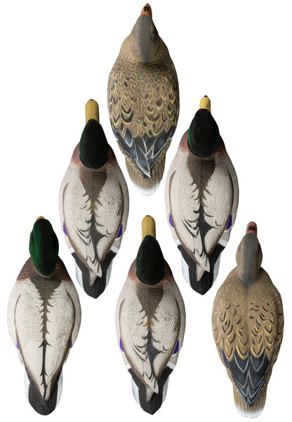 Battleship Mallard Foam Filled (6pk)