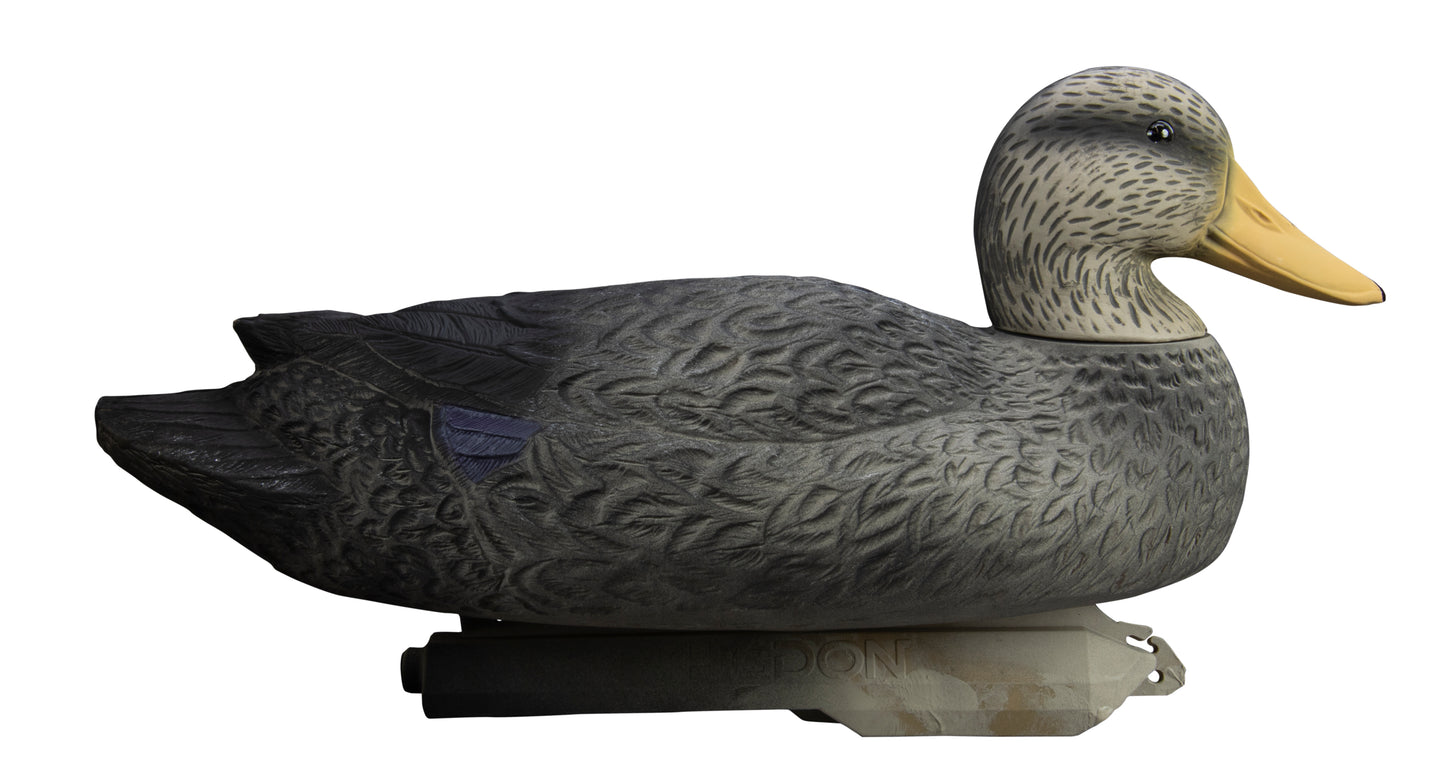 Battleship Black Duck Foam Filled (6pk)