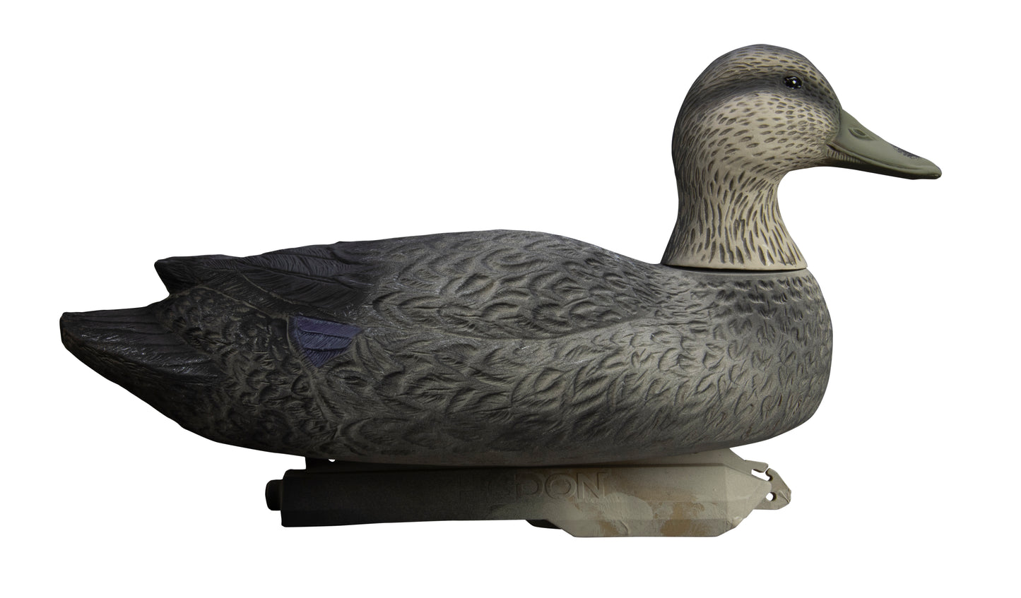 Battleship Black Duck Foam Filled (6pk)