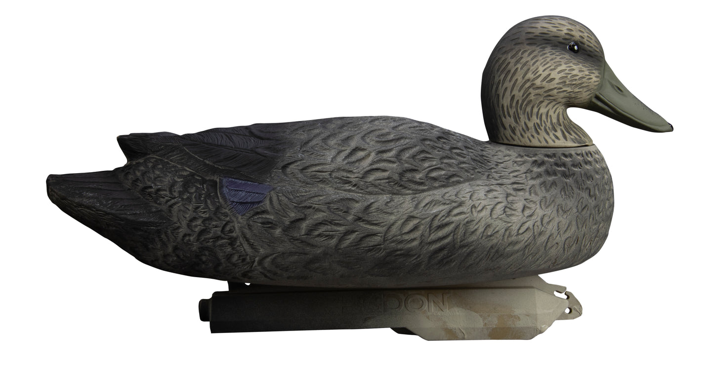 Battleship Black Duck Foam Filled (6pk)