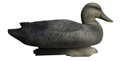 Battleship Black Duck Foam Filled (6pk)