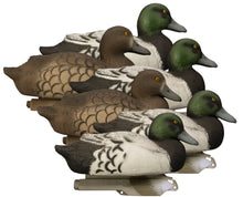 Battleship Bluebill Foam Filled (6pk)