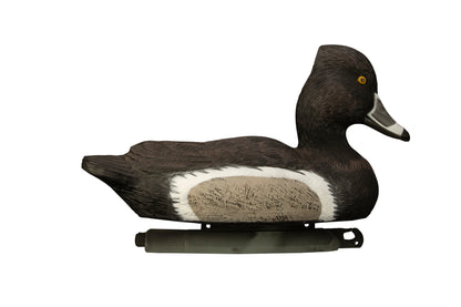 Battleship Ringneck Foam Filled Drakes (6pk)