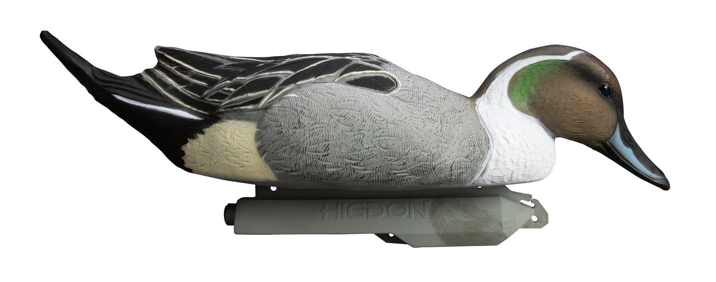 Battleship Pintail Foam Filled (6pk)