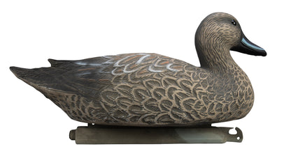 Battleship Pintail Foam Filled (6pk)
