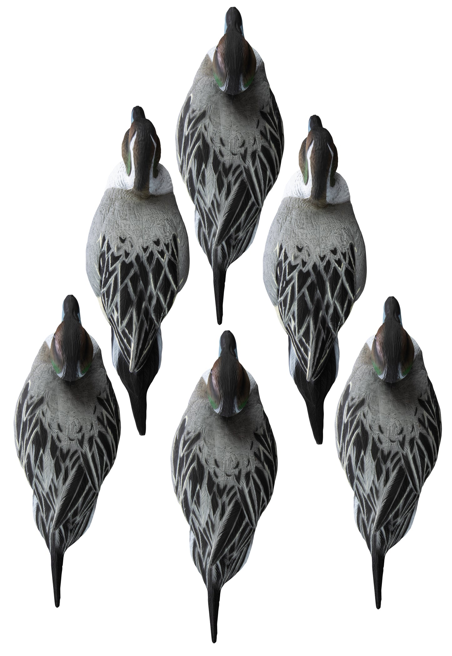 Battleship Pintail Foam Filled (6pk)