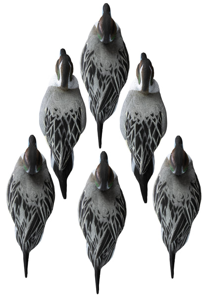 Battleship Pintail Foam Filled (6pk)