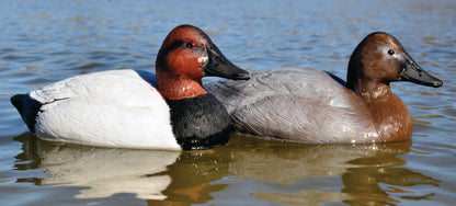 Battleship Canvasback Foam Filled (6pk)