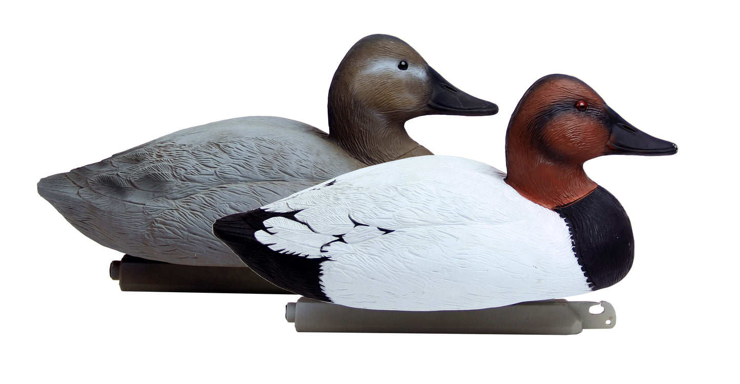 Battleship Canvasback Foam Filled (6pk)