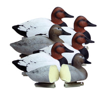 Battleship Canvasback Foam Filled (6pk)
