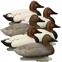 Battleship Canvasback Foam Filled (6pk)