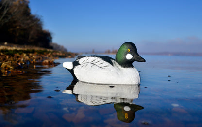 Higdon Outdoors Battleship Goldeneye Drake Decoy 6-Pack