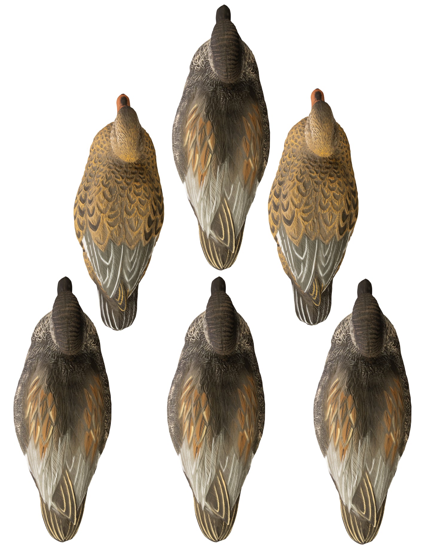 Battleship Gadwall Foam Filled (6pk)