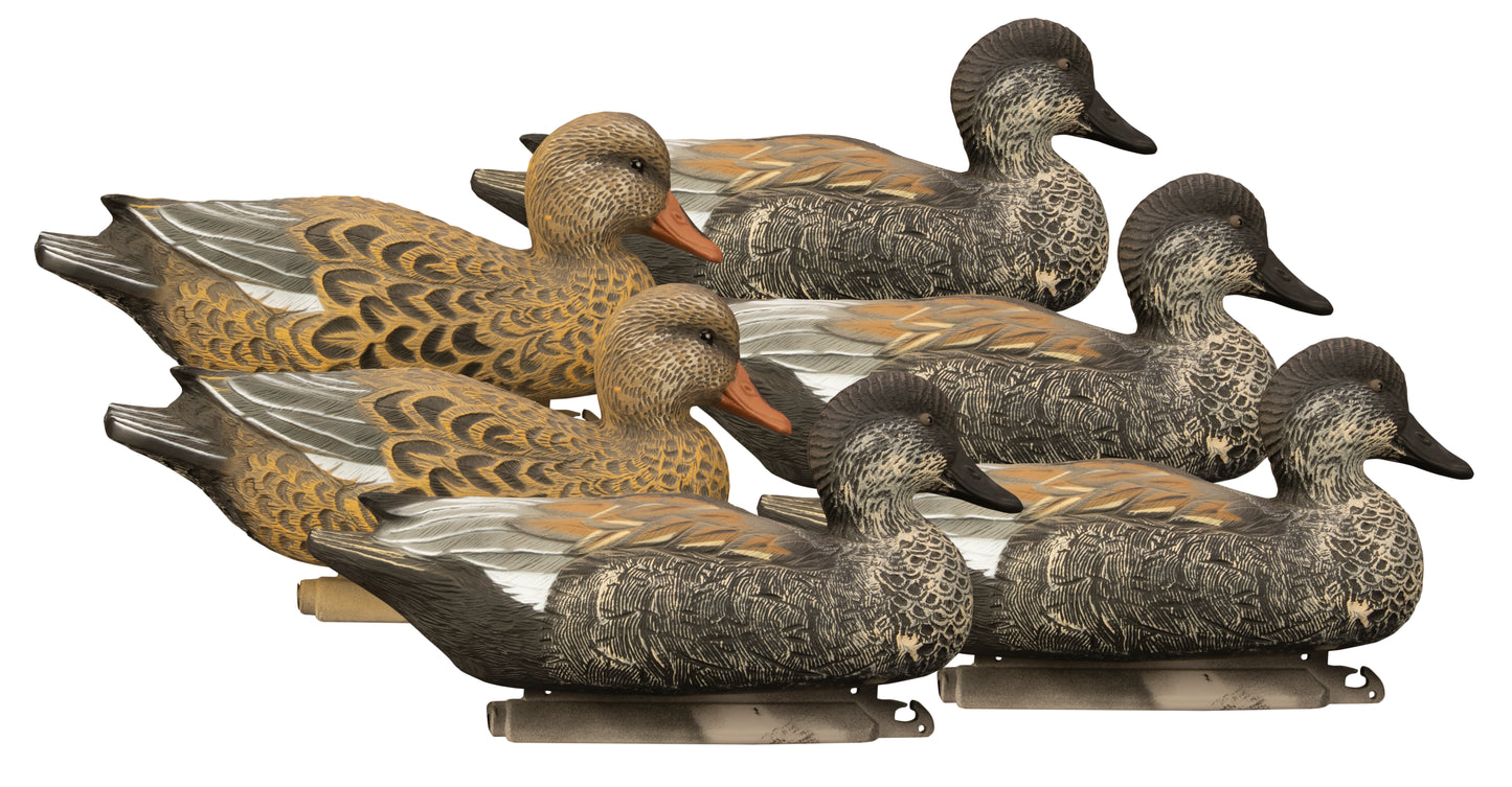 Battleship Gadwall Foam Filled (6pk)