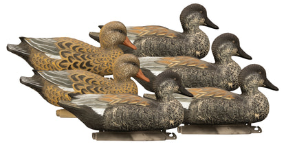 Battleship Gadwall Foam Filled (6pk)