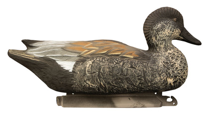 Battleship Gadwall Foam Filled (6pk)