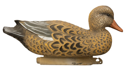 Battleship Gadwall Foam Filled (6pk)