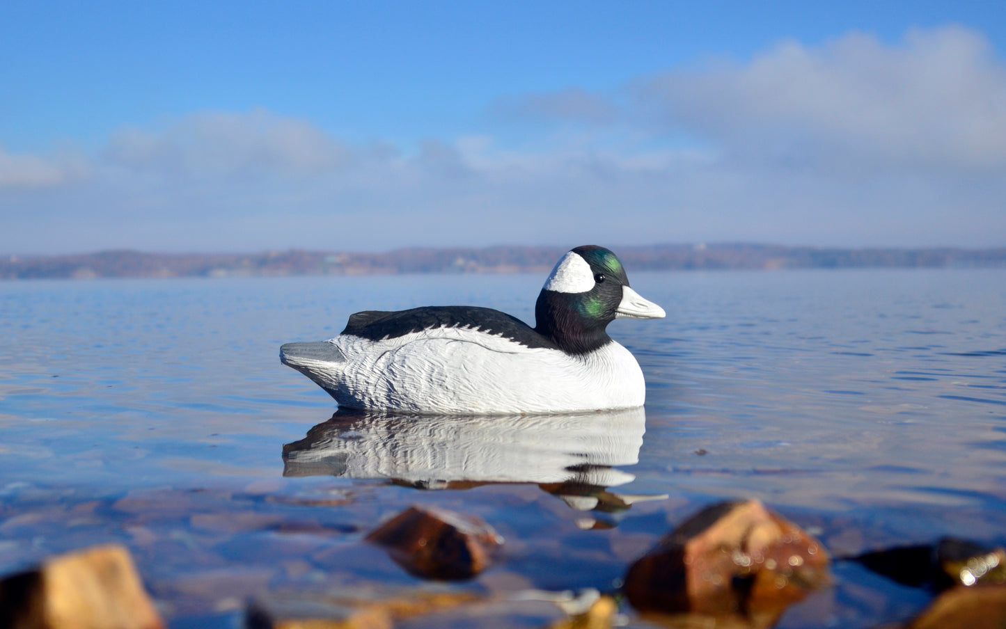 Battleship Bufflehead Foam Filled All Drakes (6pk)