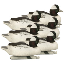 Battleship Bufflehead Foam Filled All Drakes (6pk)