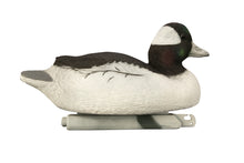 Battleship Bufflehead Foam Filled All Drakes (6pk)