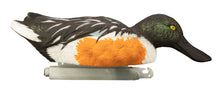 Battleship Shoveler Foam Filled (6pk)