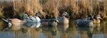 Battleship Puddle Pack Foam Filled, 2 Pintails, 2 Gadwalls, 2 Widgeons (6pk)