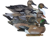Battleship Puddle Pack Foam Filled, 2 Pintails, 2 Gadwalls, 2 Widgeons (6pk)