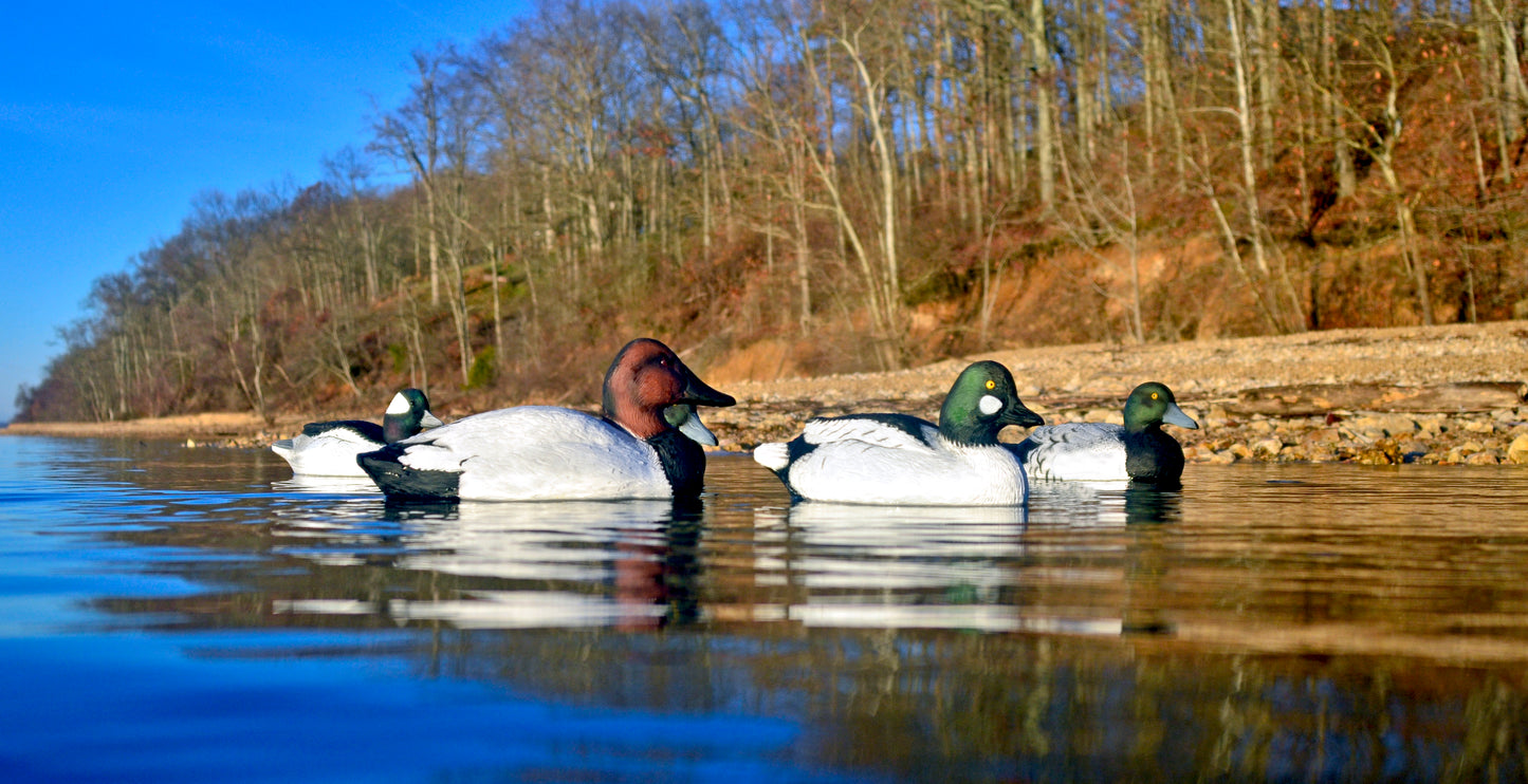 Battleship Diver Pack Foam Filled All Drakes, 2 Bluebills, 2 Canvasbacks, 1 Bufflehead, 1 Goldeneye (6pk)