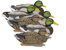 Legacy Magnum Mallard Foam Filled (6pk)